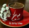 Screenshot_٢٠٢٣٠٤٢٧_٠٧٠٨٤٥_Chrome.jpg