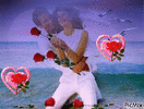 7416545_432b8.gif