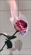 b729e0938eb7603afdb5c4d4cd550ef5.jpg