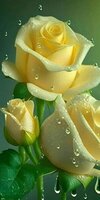 FB_IMG_1682874811087.jpg