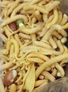 IMG_٢٠٢٣٠٥٠١_٢٣٥٩٤٤٣٧٧.jpg