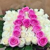 3071.jpg 3071.jpg