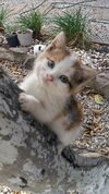 9c651493373b446ba440d43beeb4c15b.jpg