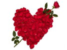 desktop-wallpaper-love-by-rose-m-red-in-love.jpg