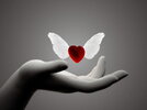 desktop-wallpaper-holidays-hearts-love-valentine-s-day.jpg
