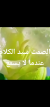 Screenshot_٢٠٢٣٠٥٠٦-٠١٢٥٤١.png