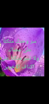 Screenshot_٢٠٢٣٠٥٠٦-٠١٢٥٥٧.png