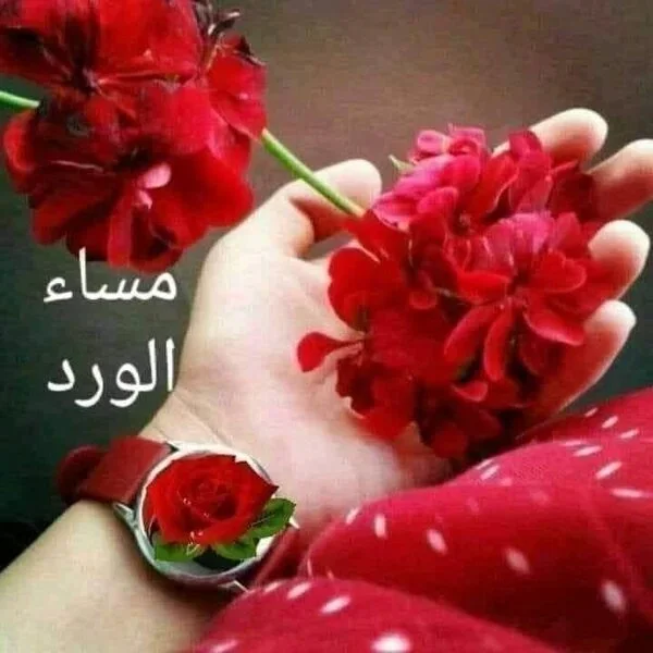 مساء بالورد.webp