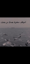 Screenshot_٢٠٢٣٠٥٠٦-٢١٠١٤٣.png