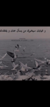 Screenshot_٢٠٢٣٠٥٠٦-٢١٠٢١٢.png