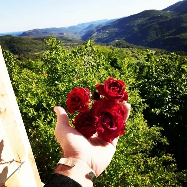 مميزم وردة.webp