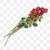 pngtree-love-marriage-romantic-rose-bouquet-natural-bloom-png-image_2636999.webp