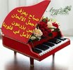 صباح يعزف اجمل اللالحان.jpg