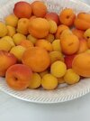 IMG_20230522_202504.jpg