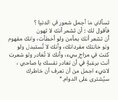 IMG_6316.jpeg