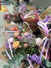 IMG_6337.jpeg