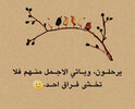 IMG_7853.jpeg