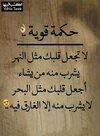 66681aab31162cd95082b877226440b3.jpg