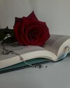 7b8da3b226d69796ea0ba184e6eb2cd1.jpg