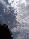 IMG_20230605_115549.jpg