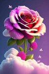 FB_IMG_1686679446969.jpg