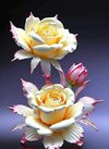FB_IMG_1686679434227.jpg