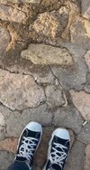 ٢٠٢٣٠٦١٣_٢١٤٢١٣.jpg