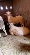 IMG_1810.jpeg