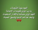 IMG_5986.jpeg