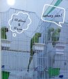 ٢٠٢٣٠٧٠١_١٤٣٩٠٢.jpg