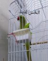 ٢٠٢٣٠٧٠٢_١٤٤٧٥٥.jpg