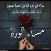مساء-الخير-2.jpg