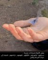 بعض.jpeg