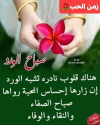 1690961527615.png
