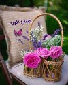 FB_IMG_1690951126932.jpg