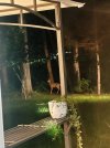 IMG_7826.jpeg