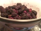 IMG-20230808-WA0003.jpg