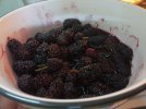 IMG-20230808-WA0002.jpg