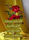 1691655140086.png