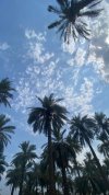 ٢٠٢٣٠٨١٥_١٦٠١٣٨.jpg