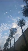 ٢٠٢٣٠٨١٥_١٦٠١٥١.jpg