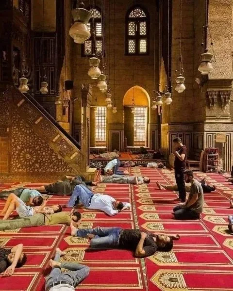 IMG_2296.webp IMG_2296.webp