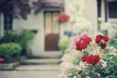 IMG_2325.webp IMG_2325.webp