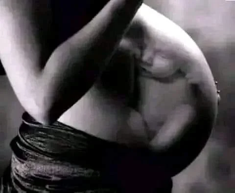 IMG_2334.webp IMG_2334.webp