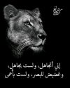 510bab3fdf1a8eb8a13cf4f197d880ee.md.jpg