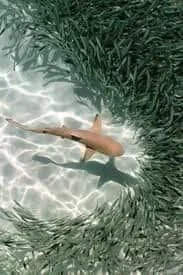 IMG_2350.webp IMG_2350.webp