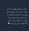 IMG_8816.jpeg