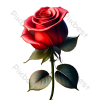 1692554207582.png