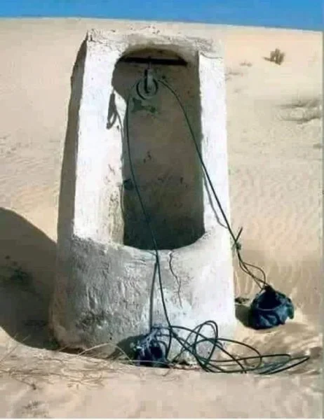 IMG_2477.webp IMG_2477.webp