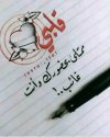 FB_IMG_1692992431017.jpg